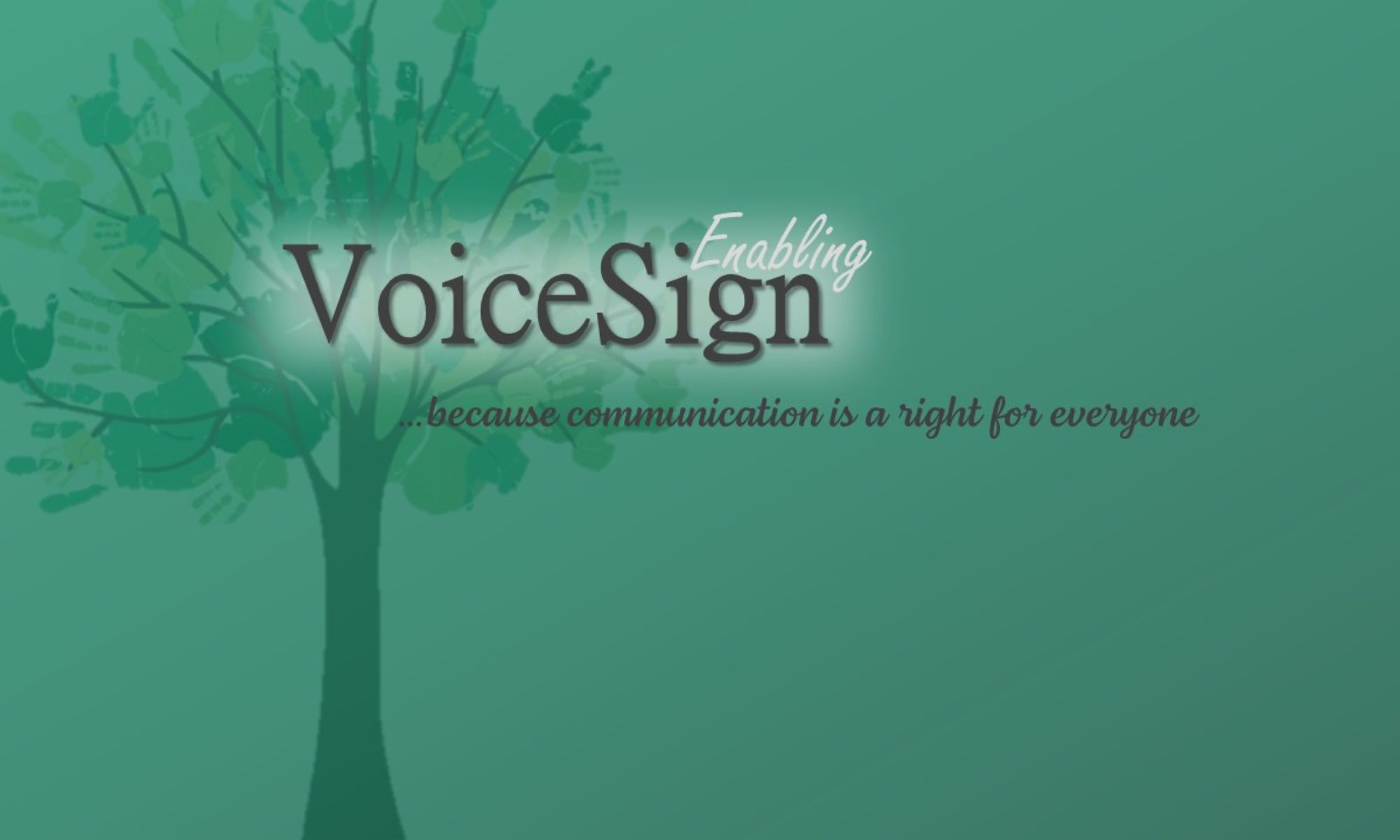 more-sign-classes-voicesign